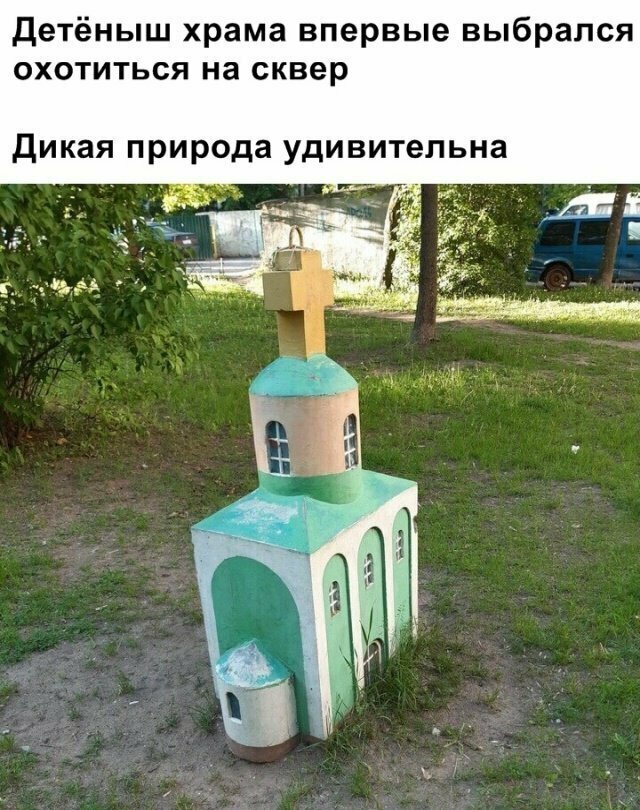 Прикольные картинки