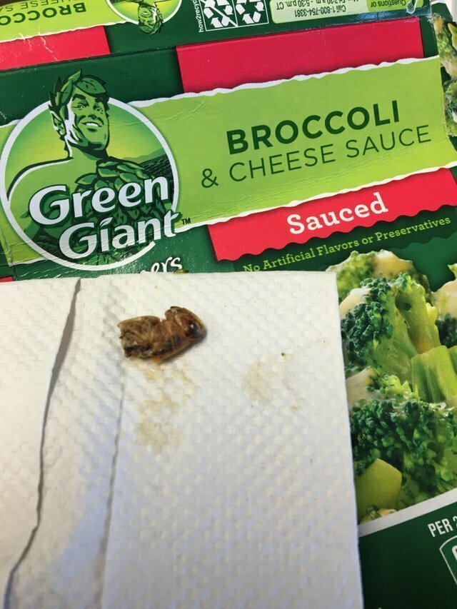 "В моей упаковке брокколи с сыром обнаружилось нечто еще..."