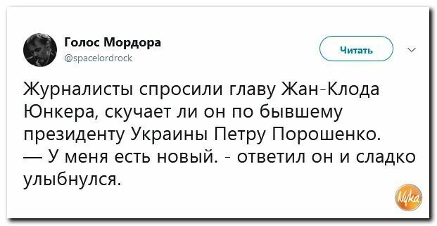 Политические картинки