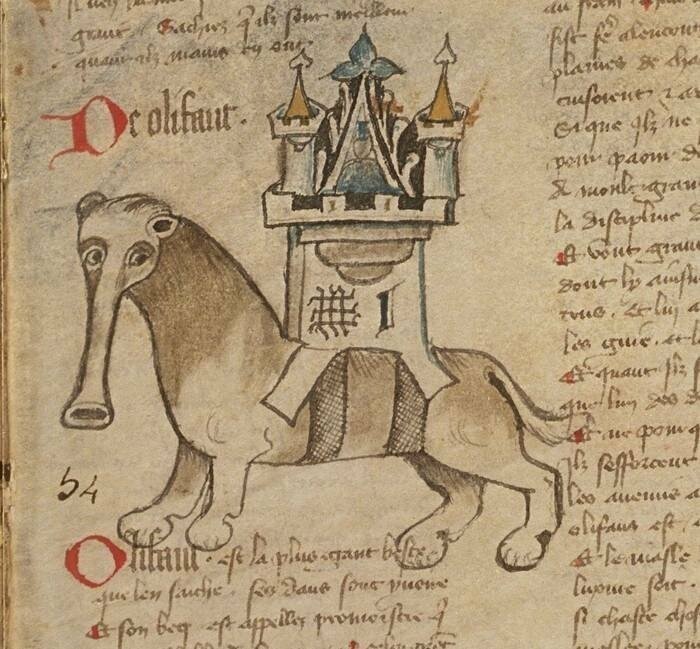 Слоны на страницах древних манускриптов и средневековый «испорченный телефон»