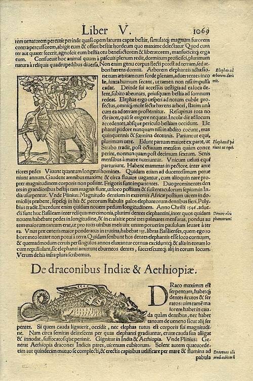 Слоны на страницах древних манускриптов и средневековый «испорченный телефон»