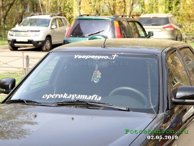Автовсячина