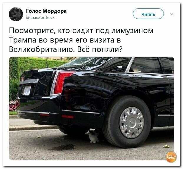 Политические картинки