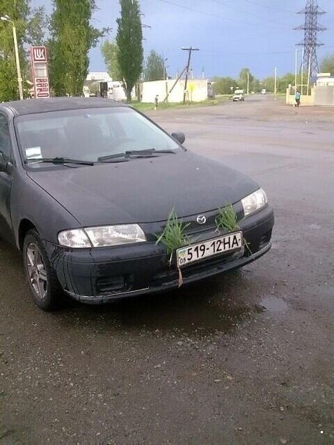 Автовсячина