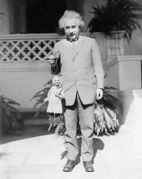 Эйнштейн и Эйнштейн