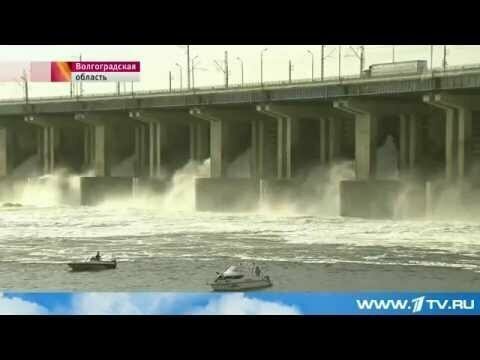 В Волгоградской и Астраханской областях засуха 