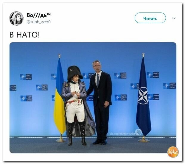 Политические картинки