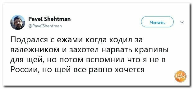 Политические картинки