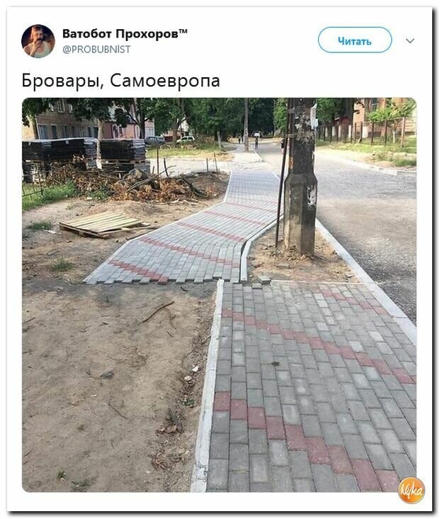 Политические картинки