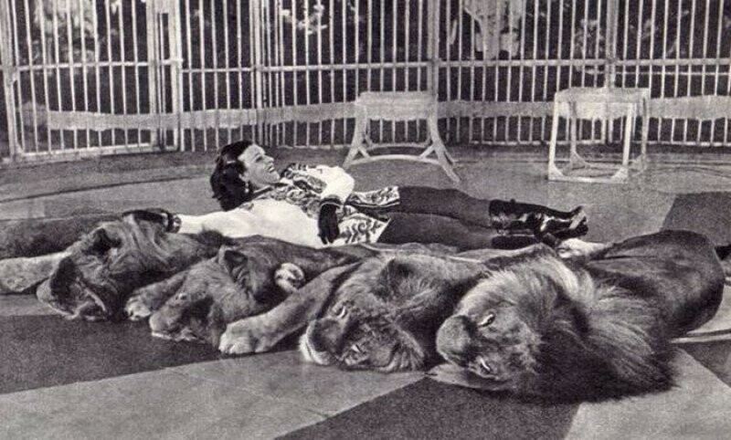 Первая советская дрессировщица: жизнь наедине со львами