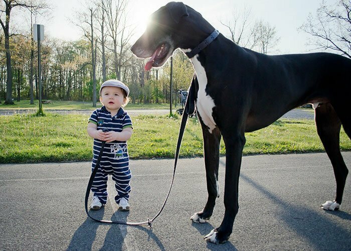 20 фотографий, доказывающих дружбу детей и питомцев