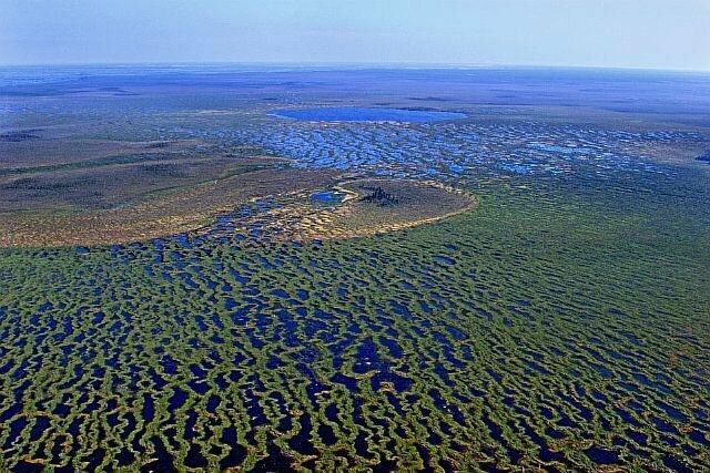 Большое Васюганское болото, Сибирь
