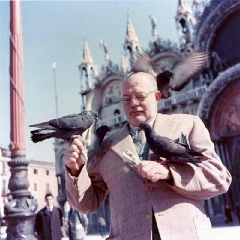Эрнест Хемингуэй кормит голубей в Венеции, 1954 год.