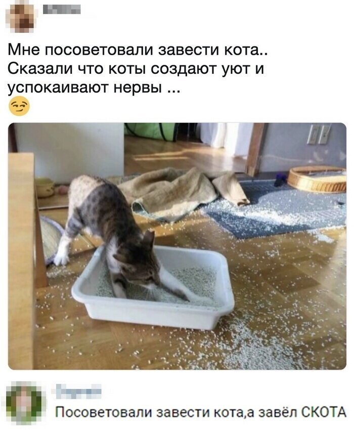 Скрины из социальных сетей