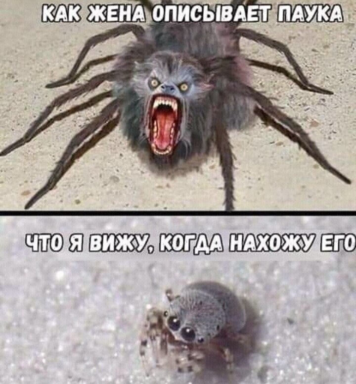 Хохотальня