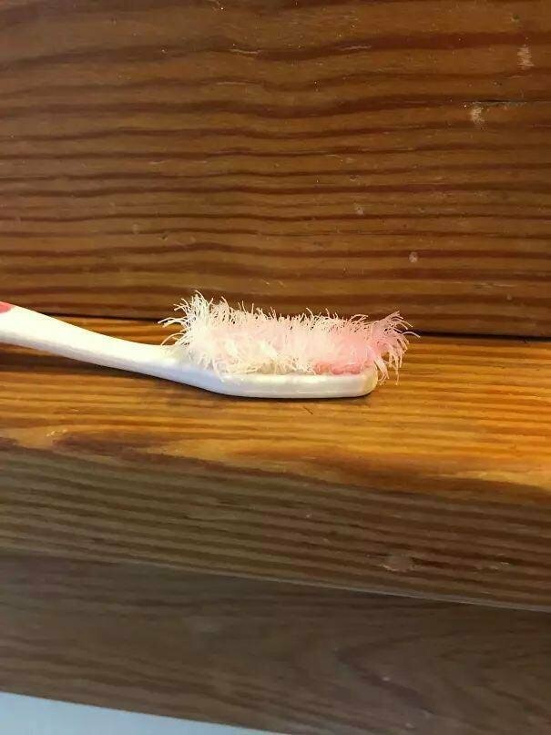 Зубная щетка моего соседа по комнате