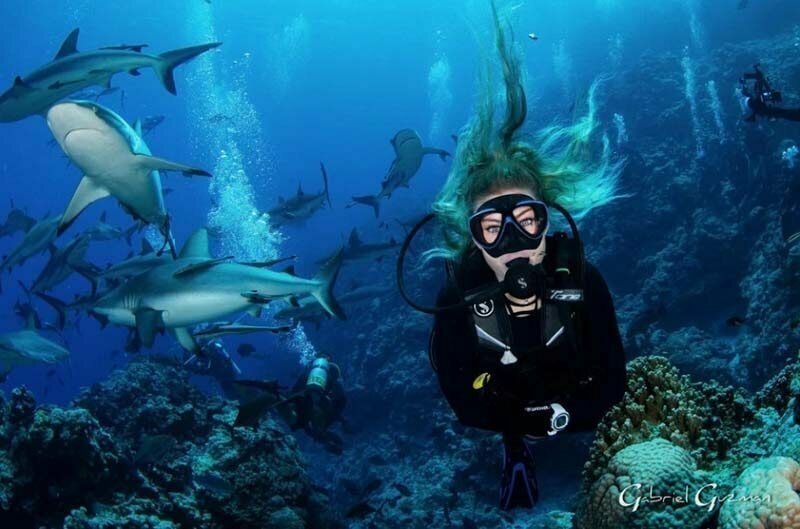 Дайвер показывает потрясающие снимки с удивительной рыбой и акулой в надежде, что люди научатся уважать море