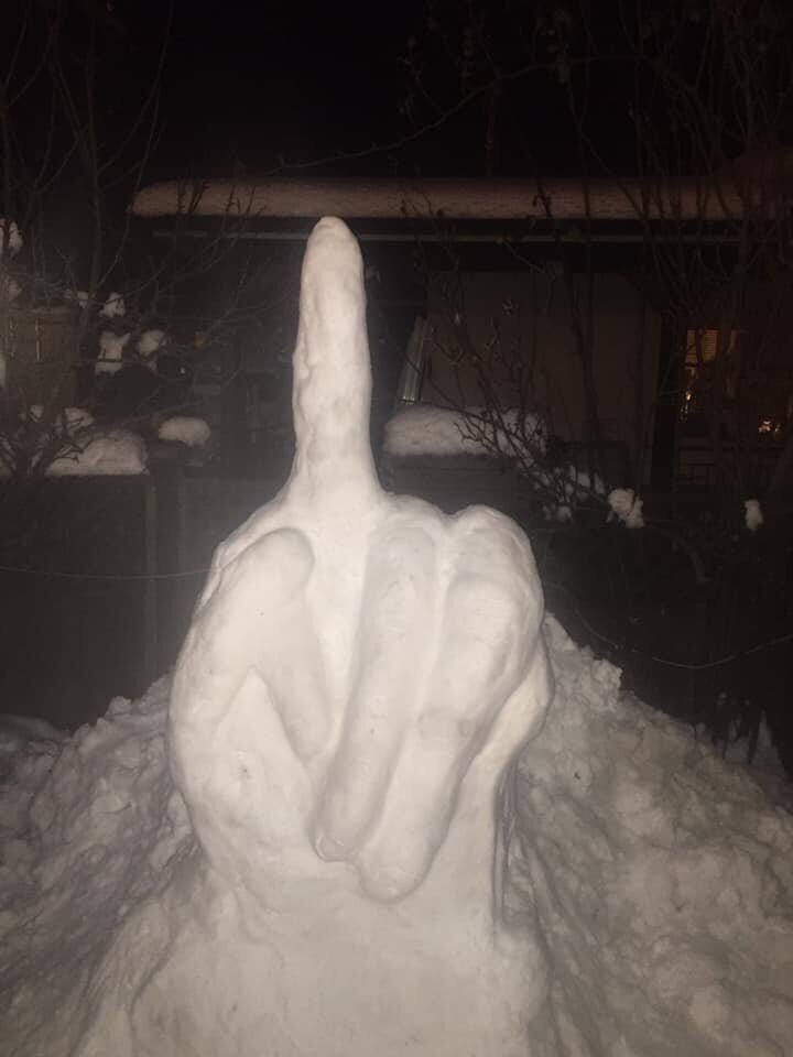 "Сосед украсил свой двор снежной скульптурой"