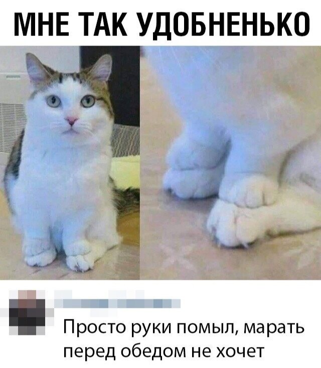 Скрины из социальных сетей