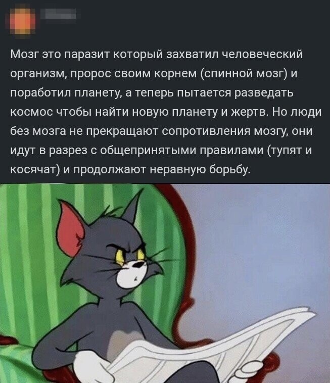 Скрины из социальных сетей