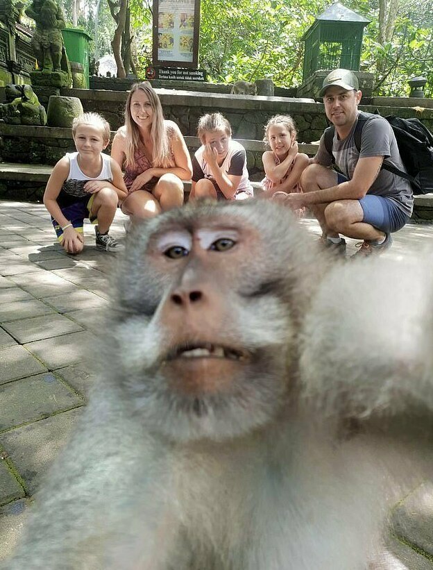 Туристов ошеломило поведение одной из обезьян