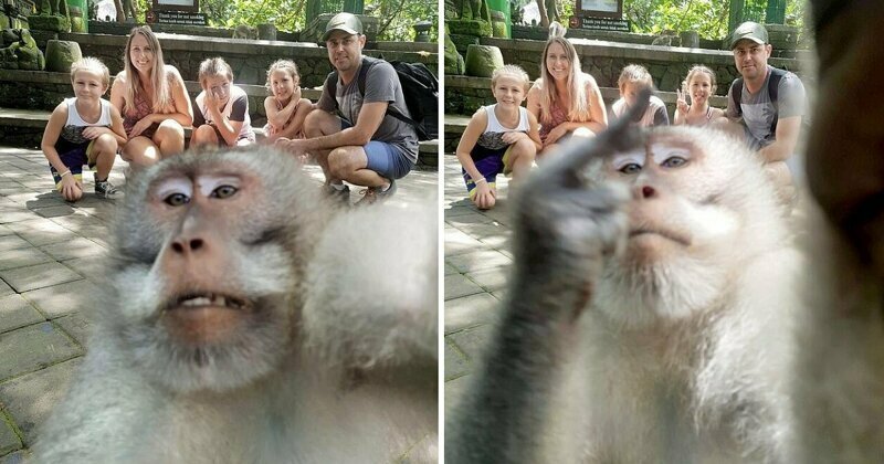 Семья из Австралии во время отдыха на Бали посетила лес обезьян в Убуде