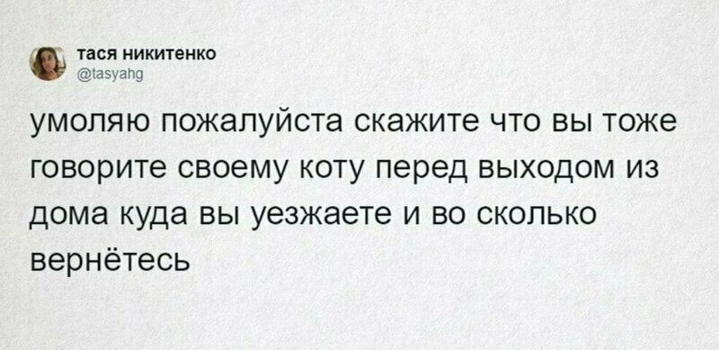 Девушка рассказала, что говорит своему коту перед уходом и поинтересовалась, делают ли остальные так же