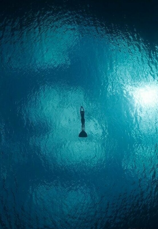 Почувствуй бездну: 25 завораживающих подводных снимков