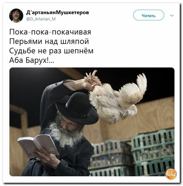 Политические картинки