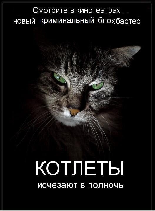 Котопост