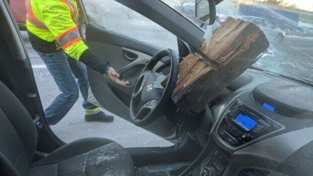 Водитель остался в живых после того, как огромный кусок дерева влетел в его лобовое стекло