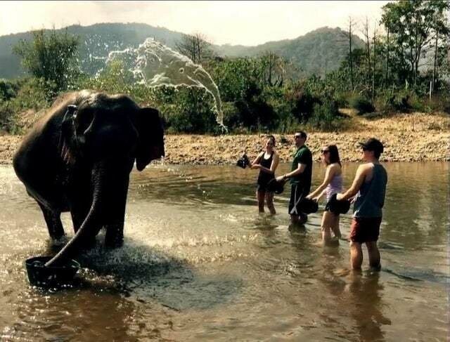 3. Из воды получилась морда слона