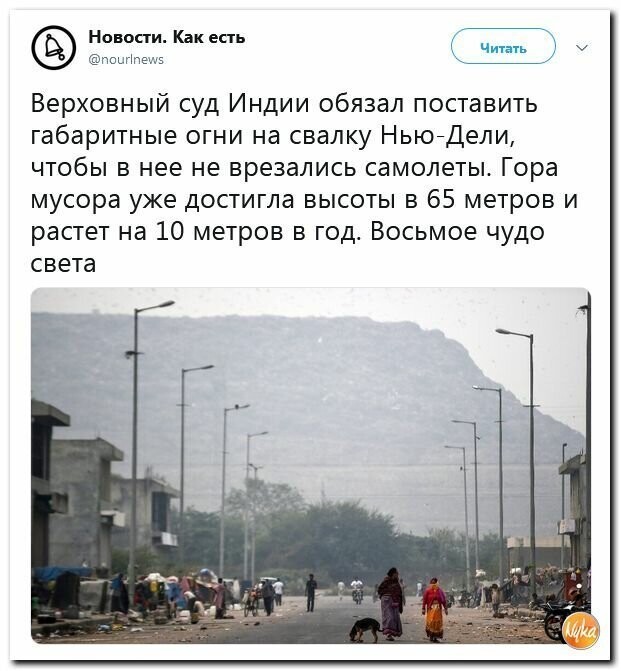 Политические картинки