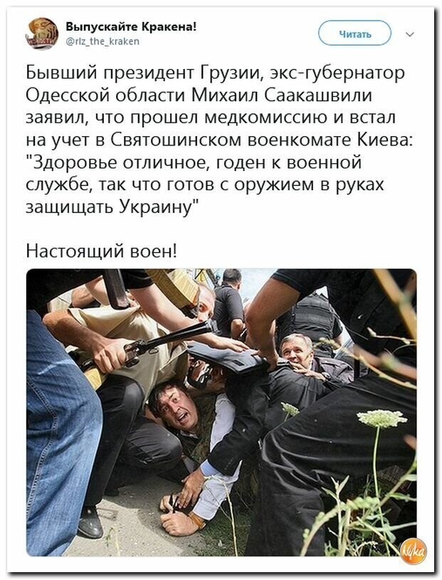 Политические картинки