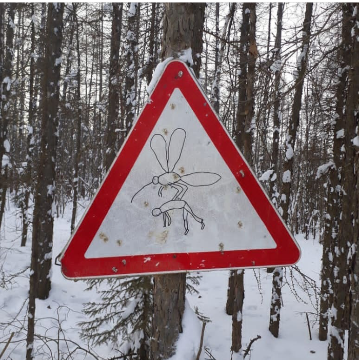 Комаров бояться - в лес не ходить