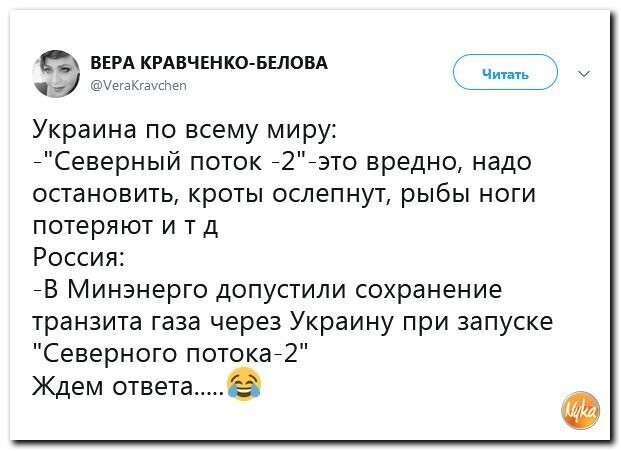 Политические картинки