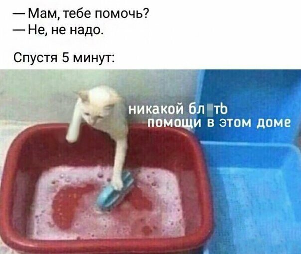 Прикольные и смешные картинки