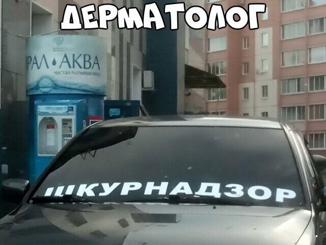 Автовсячина