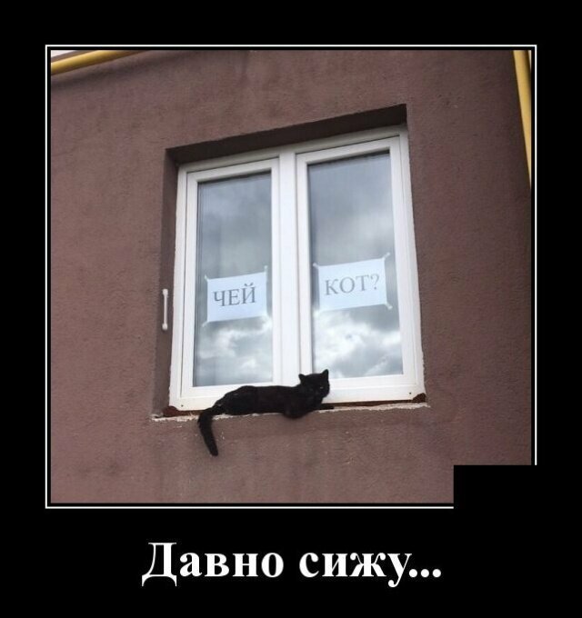 Образ кошки в демотиваторах от Водяной за 17 июня 2019