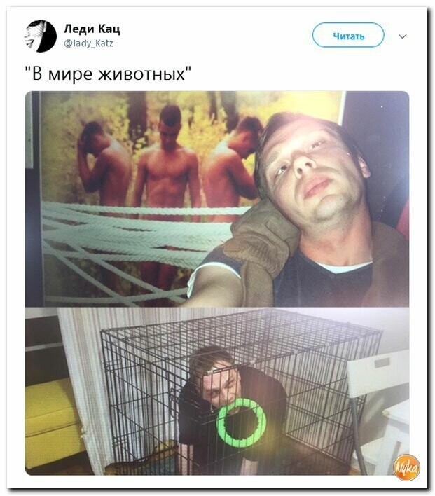 Политические картинки
