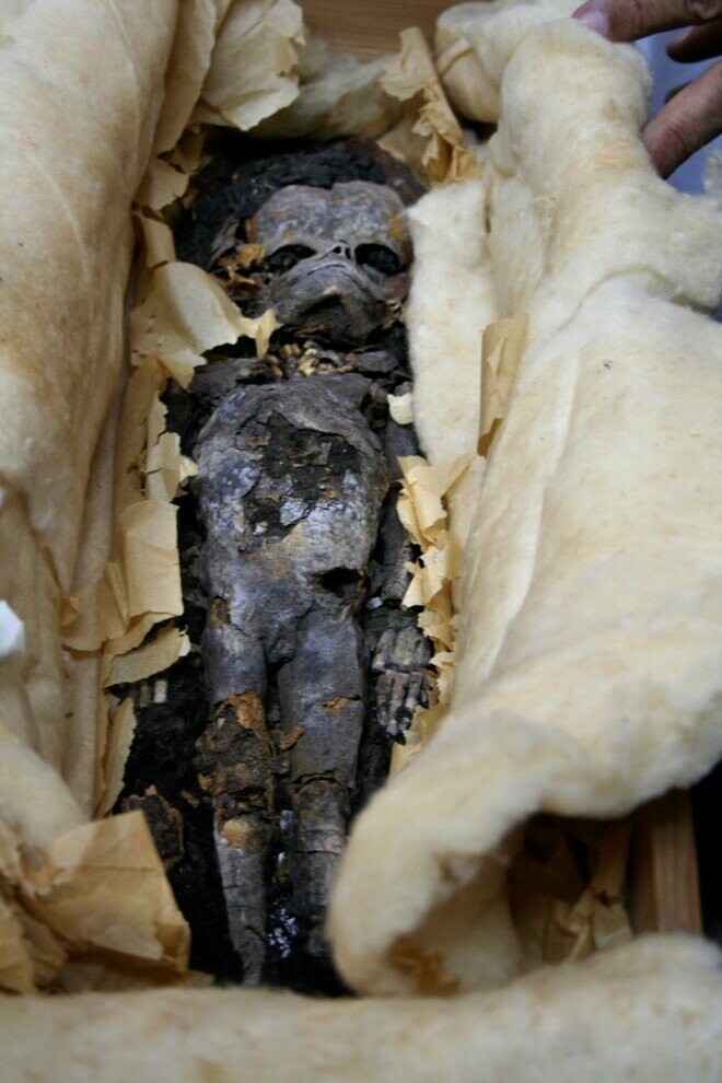 32. Один из двух мумифицированных эмбрионов, найденных в гробнице фараона Тутанхамона в 1922 году. Египетские ученые проводили тесты ДНК, чтобы узнать, были ли эти зародыши детьми юного фараона. (AP Photo/Supreme Council of Antiquities)