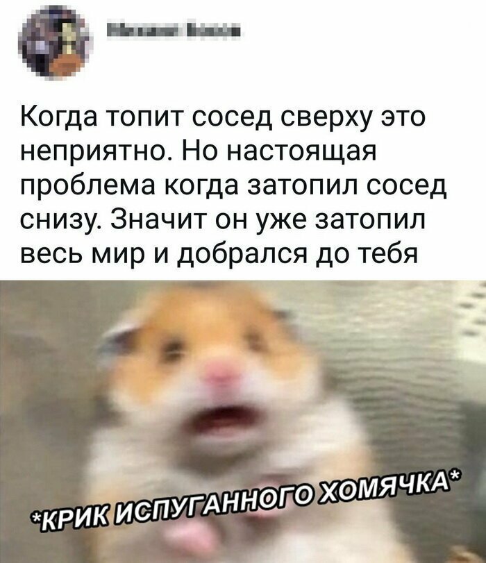 Скрины из социальных сетей