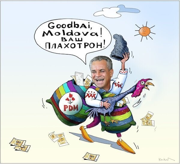 Лучше синица в бегах