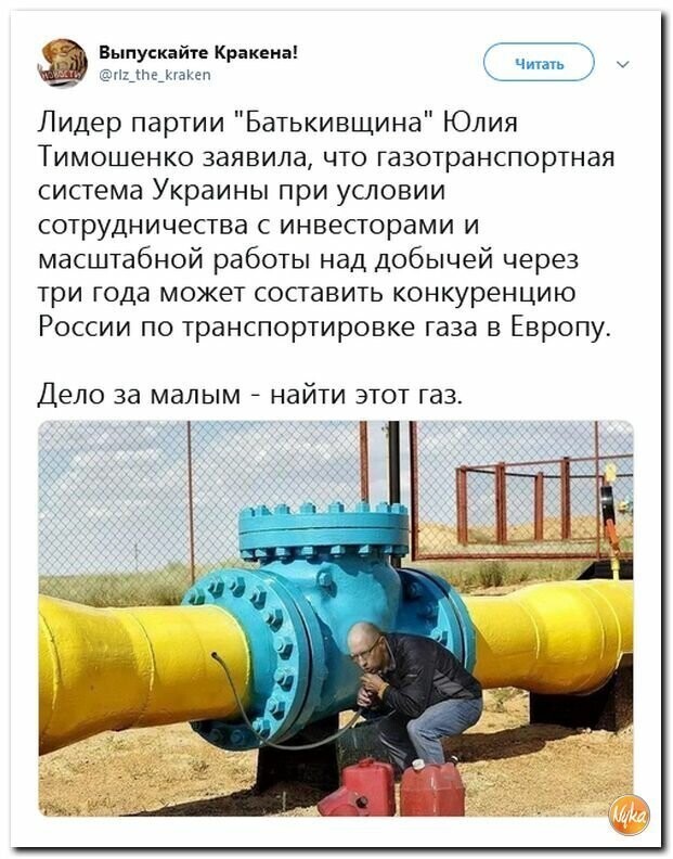 Политические картинки