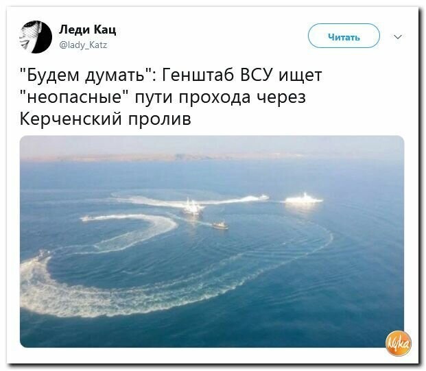 Политические картинки
