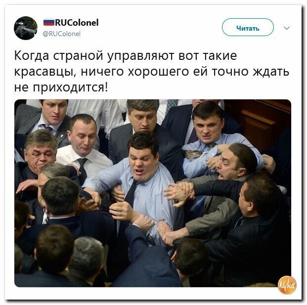 Политические картинки