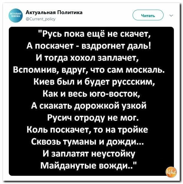 Политические картинки