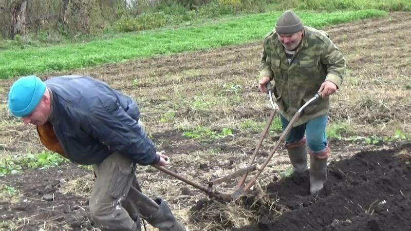 Гладко было на бумаге. Как правительству сократить число бедных в стране?