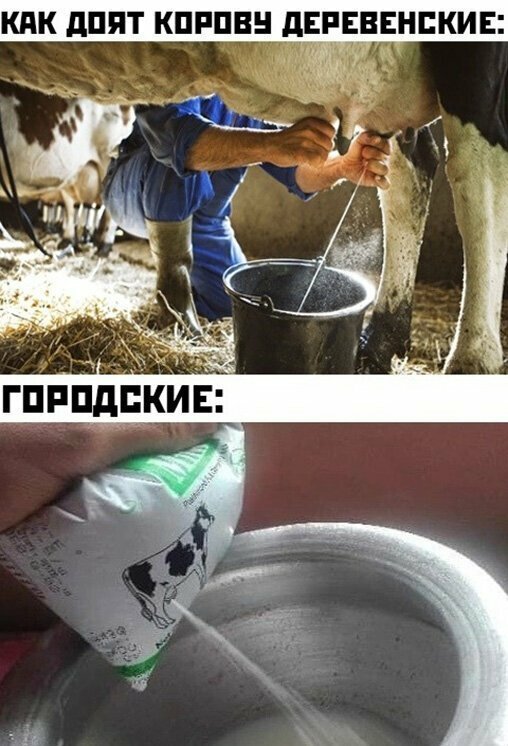 Прикольные и смешные картинки