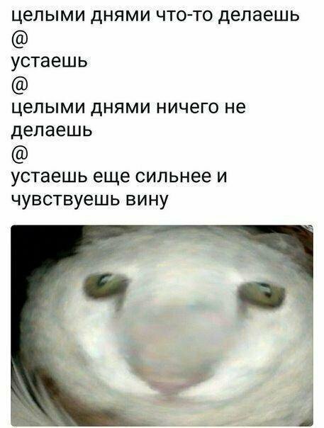 Намешалось